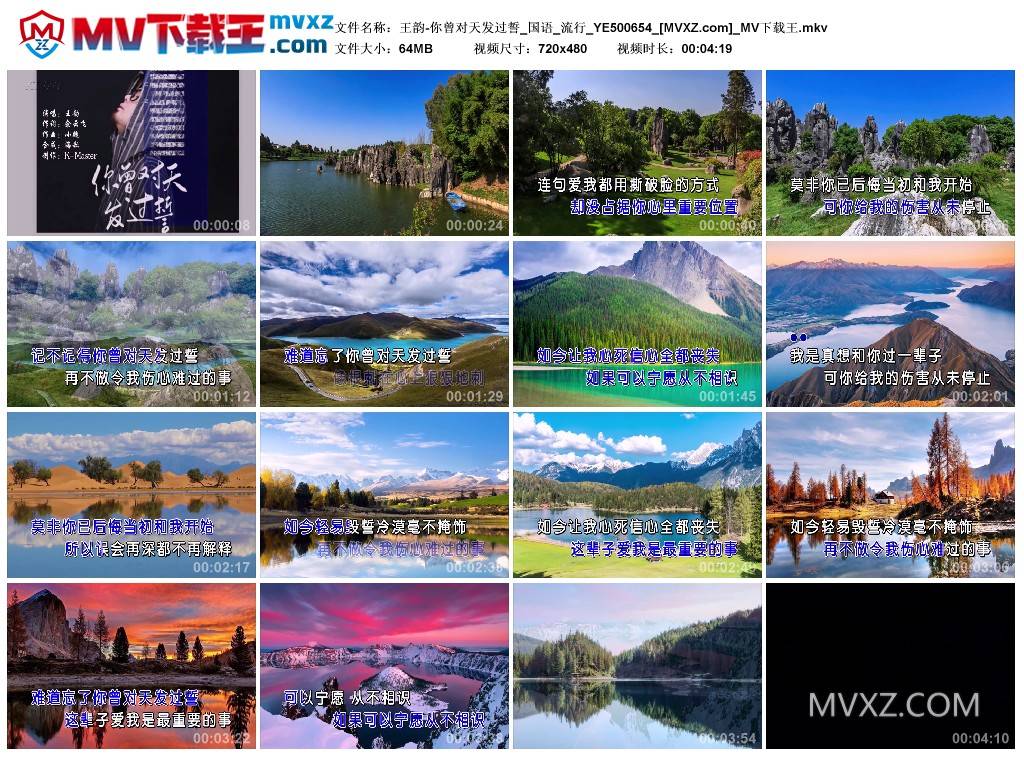 王韵-你曾对天发过誓_国语_流行_YE500654